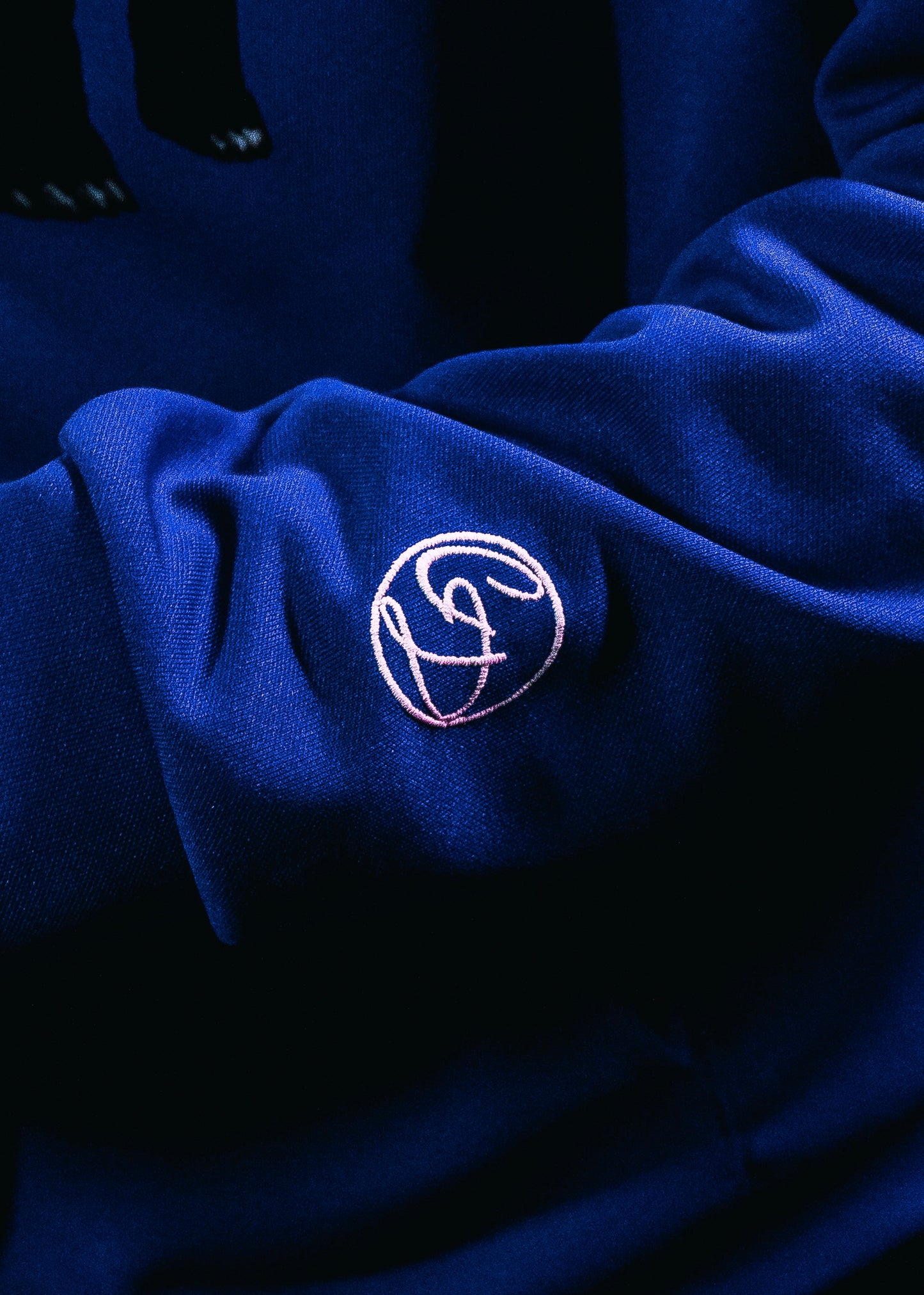 Sudadera con bordado en la manga.
